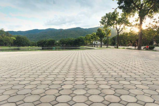 Best Custom Driveway Pavers  in Ames, TX